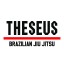 Theseus Brazilian Jiu Jitsu