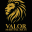 Valor Martial Arts - Fargo